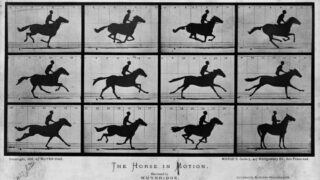The Horse in Motion. Photographies issues de l’expérience de Muybridge