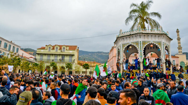 Manifestation_contre_le_5e_mandat_de_Bouteflika_(Blida)