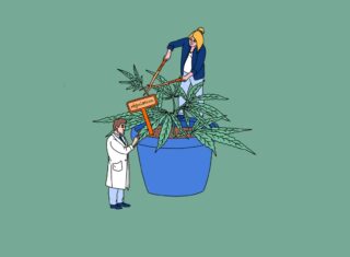 Illustration : ©Simpacid